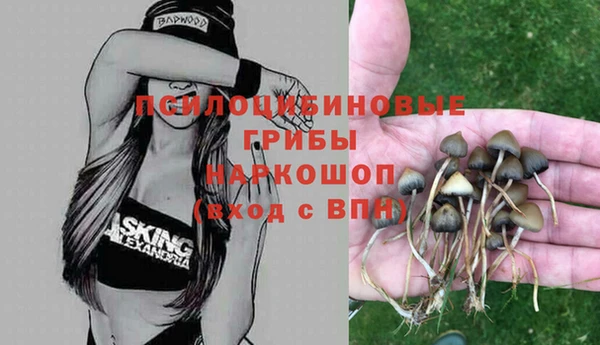 прущая мука Кукмор