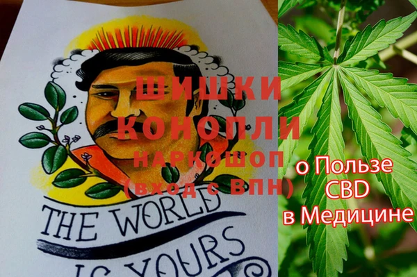 индика Кулебаки