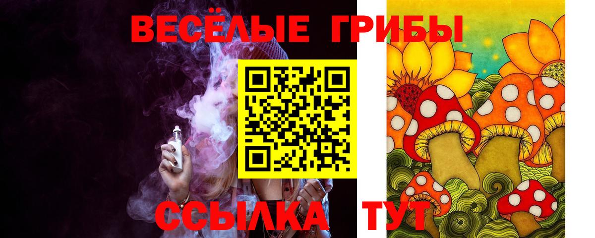 где продают наркотики  Галлюциногенные грибы Psilocybe  Вход с VPN  Солнечногорск 