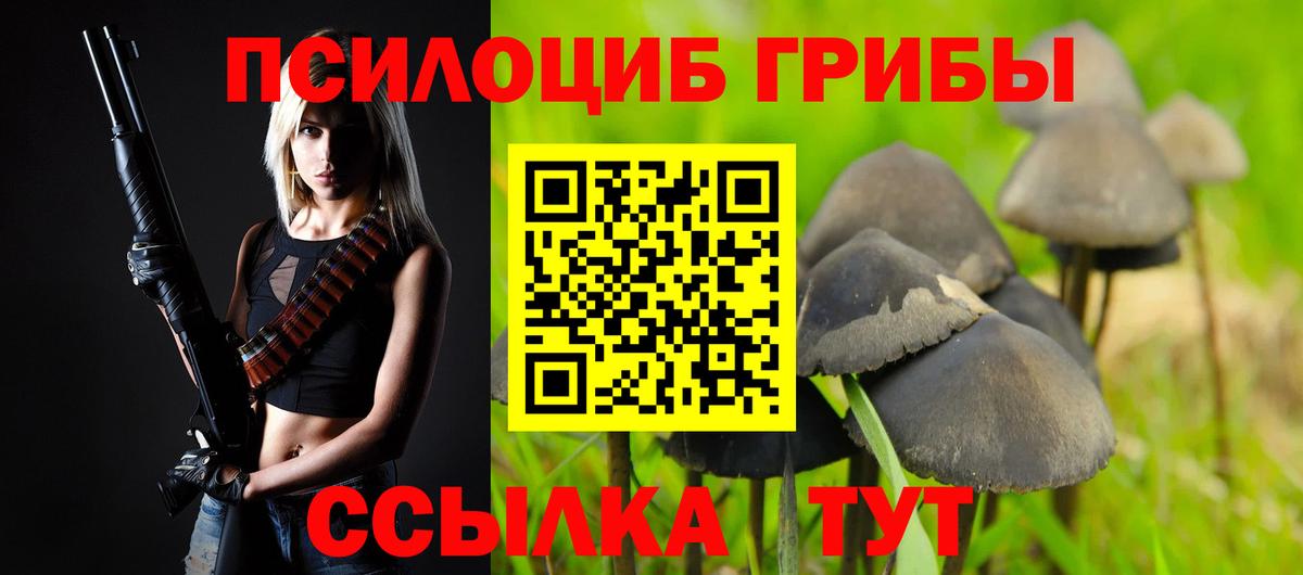 Галлюциногенные грибы GOLDEN TEACHER Солнечногорск